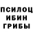 Псилоцибиновые грибы Psilocybine cubensis POLINO4KA 05