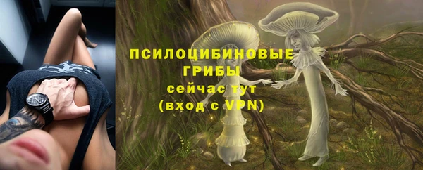 круглые Каменка