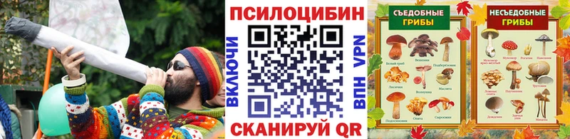 Купить  Костерёво  Галлюциногенные грибы прущие грибы 